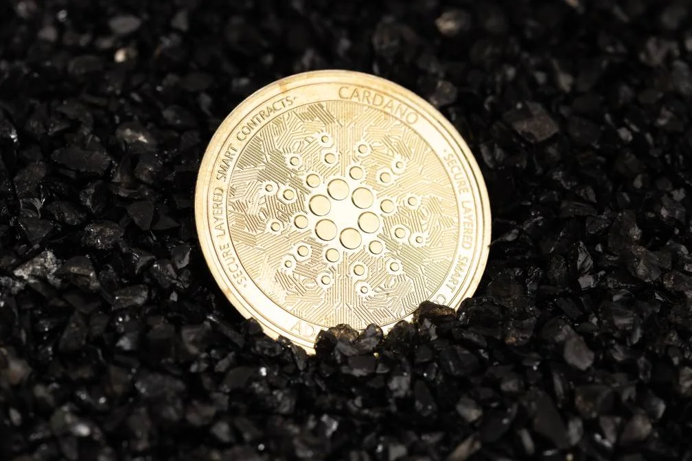  Cardano coin on black gravel background 