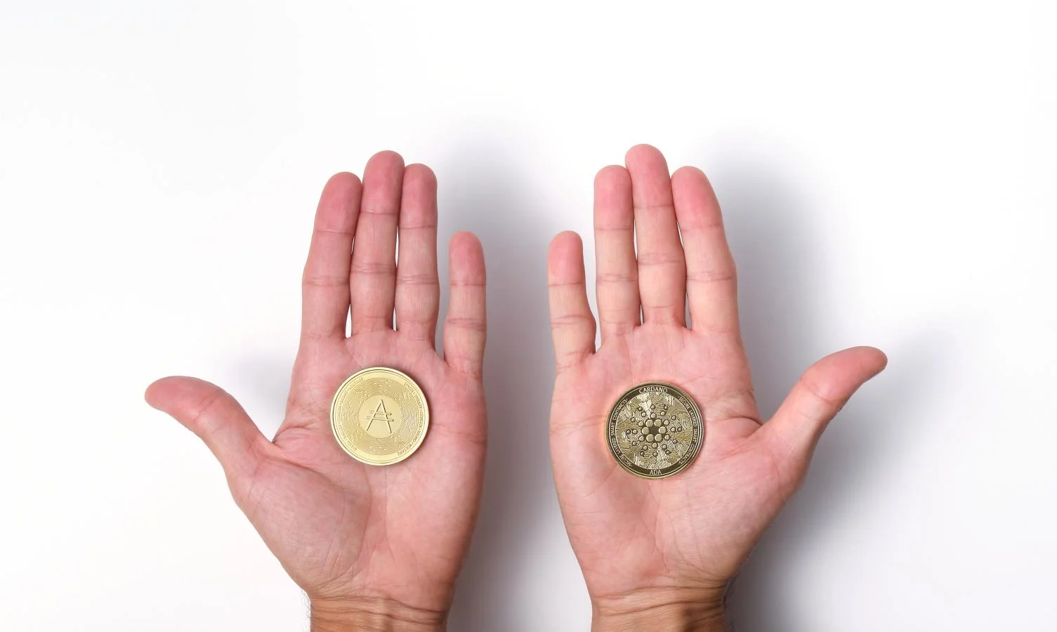  卡爾達諾加密貨幣在兩個張開的手掌上 